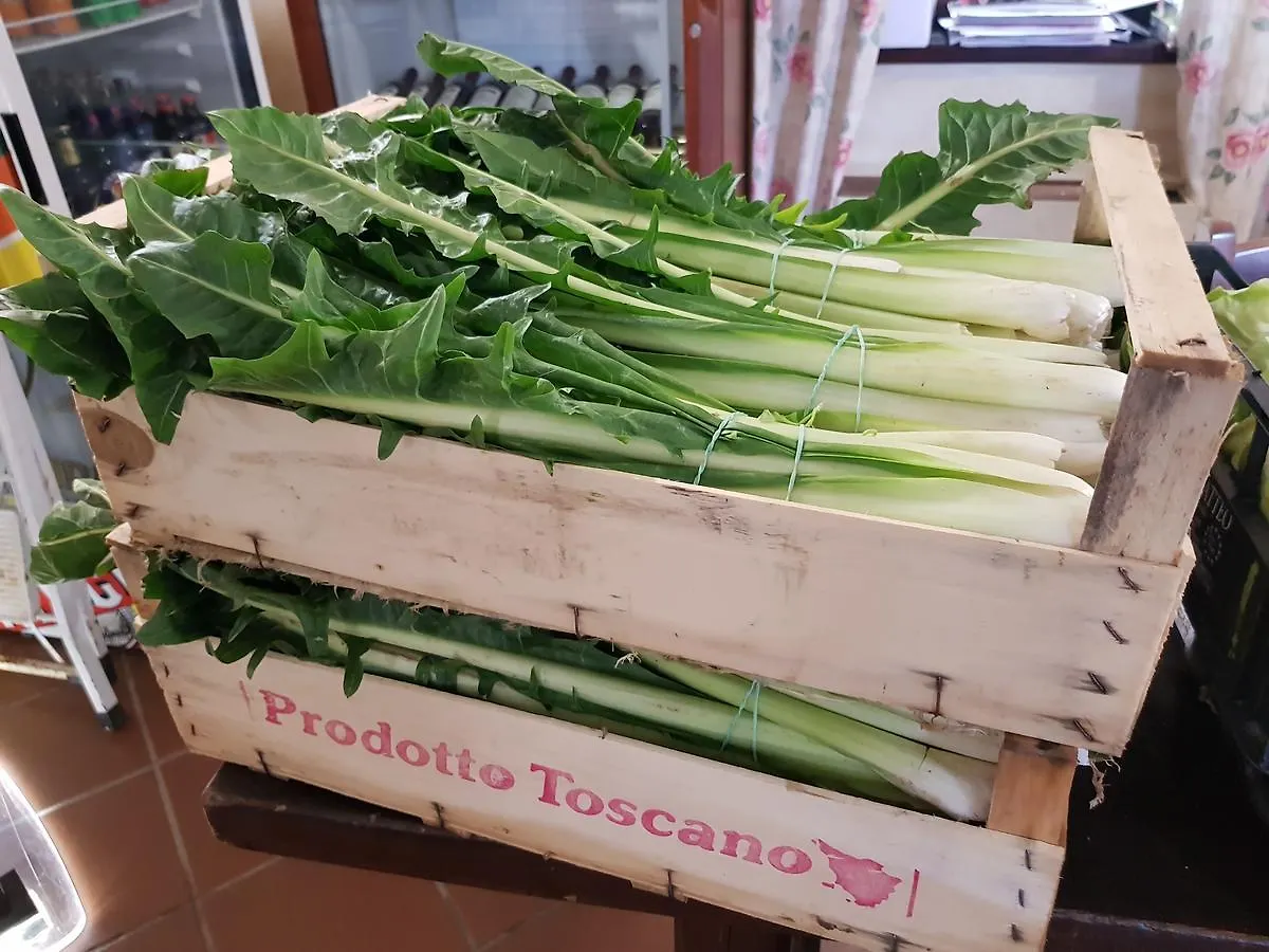 Alloggio per agriturismo Hotel Imposto Santo